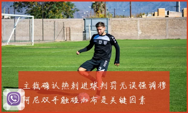 主裁确认热刺进球判罚无误强调穆阿尼双手触碰加布是关键因素