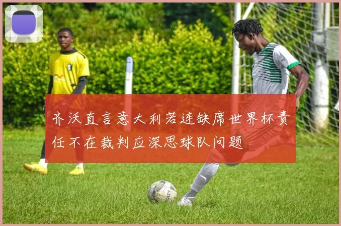 齐沃直言意大利若连缺席世界杯责任不在裁判应深思球队问题