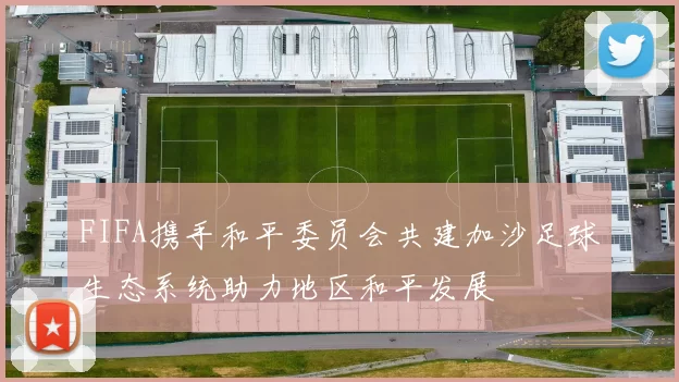 FIFA携手和平委员会共建加沙足球生态系统助力地区和平发展